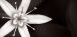 OVATA . . . Private Wealth through Eternal Friendships, Loyalty, Goodwill, Compassion & Integrity.
